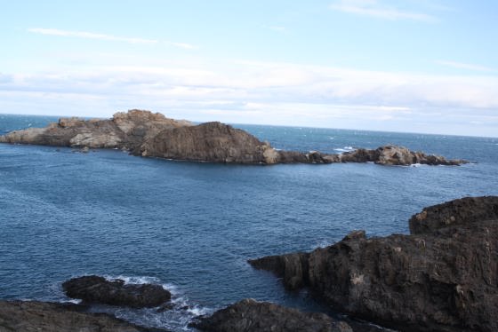 02012010-img_8330_01