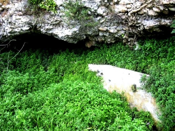 Baume i abeurador o bassa