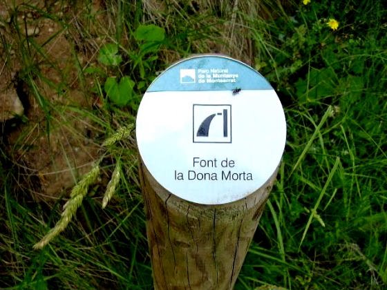 acartell-ft-dona-morta_01