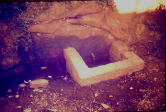 Font del Cosí, Any 1984 - Arxiu Rasola