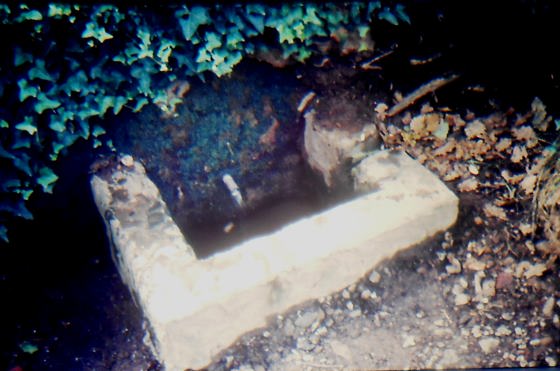 Font del Cosí, Any 1986 - Arxiu Rasola