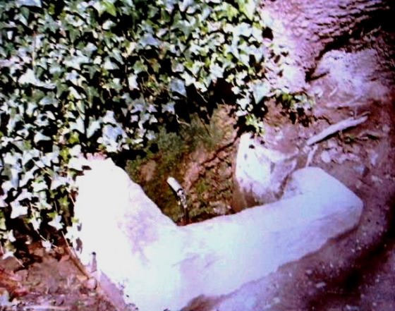 Font d'en Cusí, Any 1994- Arxiu Rasola