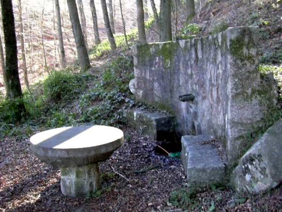 arbucies-ft-coll-de-te-1_01