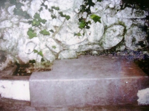 Font de les Planes- Arxiu Rasola - Any 1988