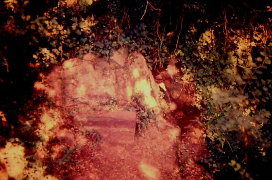 Font del Gorg d'en Pelag ,Any 1985 - Arxiu Rasola