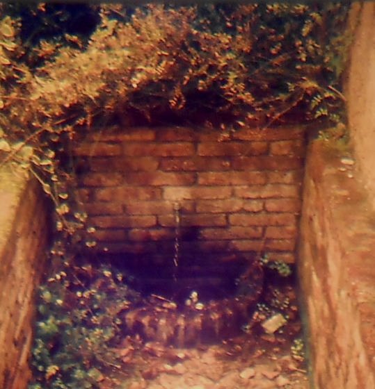 Font de la Rectoria, Any 1987- Arxiu Rasola