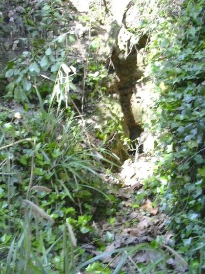 Fomt de les Bobines - any 1994 - Arxiu Rasola