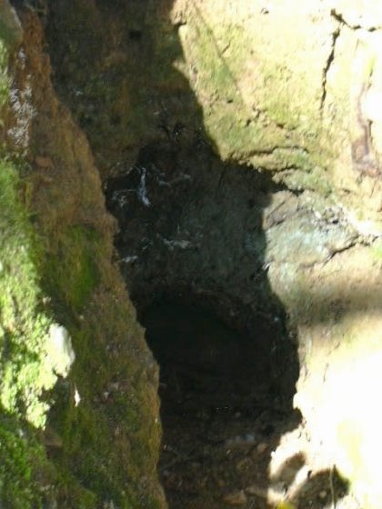 Fomt de les Bobines ( amb aigua) - any 1994 - Arxiu Rasola