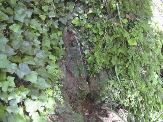 ft-gorgd-pelags-2-caldes-montbui_01