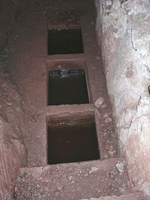 Piques - Any 1995 - Arxiu Rasola