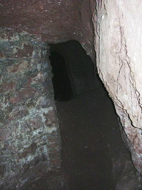 Any 1995 - Arxiu Rasola