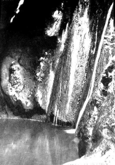 CREATOR: gd-jpeg v1.0 (using IJG JPEG v62), default quality