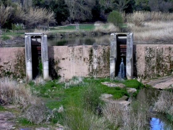 les-grans-comportes_01