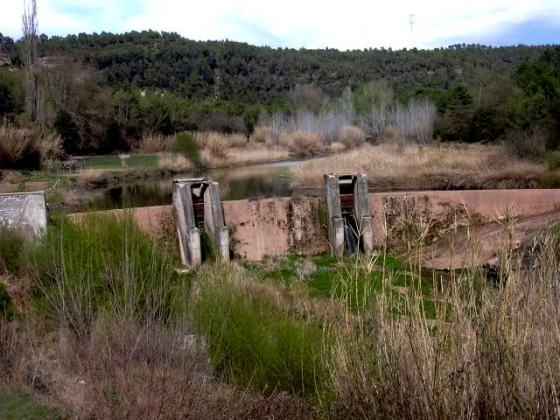 mur-amb-gran-comportes_01