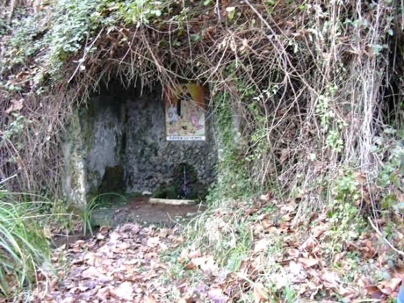 riella-i-v-ft-de-les-illes-2