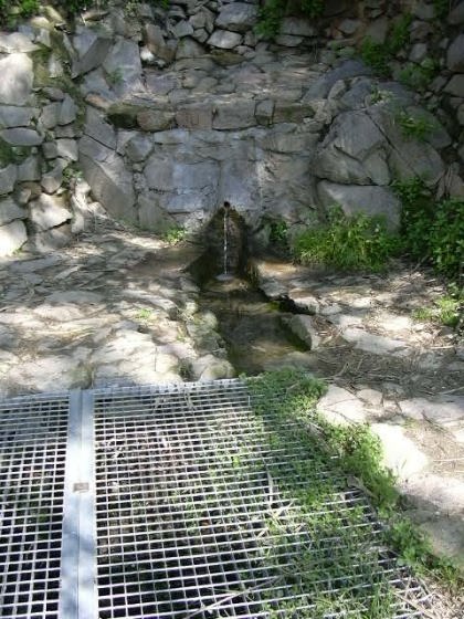 badalona-ft-can-amigo-a_01