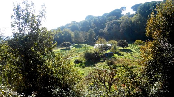 Antics Horts del Monestir