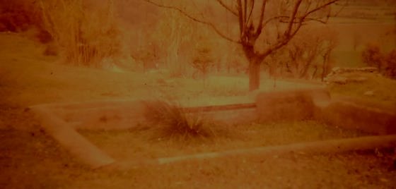 Any 1989 - Arxiu : Rasola