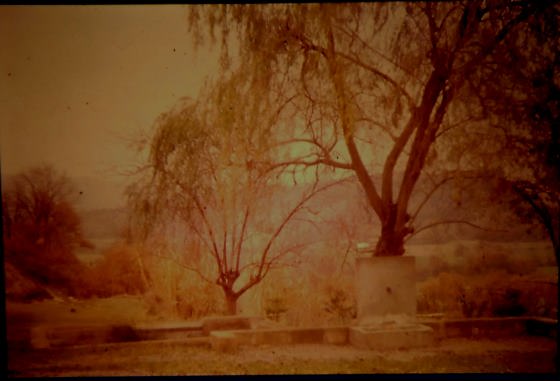 Any 1989 - Arxiu Rasola