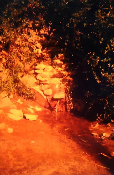 Font ca l'Amigó - Any 1985 - Arxiu Rasola