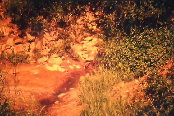 Font ca l'Amigó - Any 1985 - Arxiu Rasola