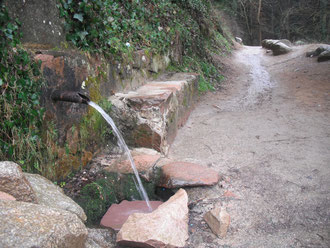 font-paitides-lautor-oscar-farrerrons