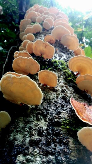 img-20160827-wa0029_01