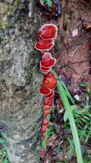 img-20160827-wa0031_01