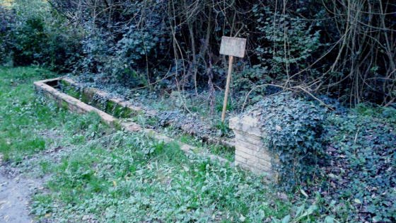 img-20161106-wa0004_01