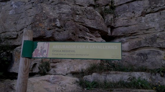 img-20161106-wa0008_01