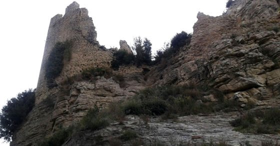 img-20161106-wa0011_01