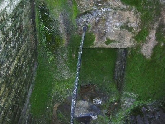 Any 1996 - Arxiu Rasola