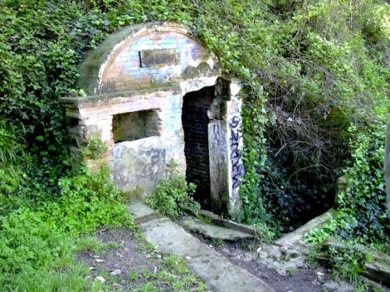 Any 1996 - Arxiu Rasola