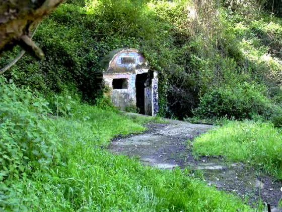 Any 1996 - Arxiu Rasola