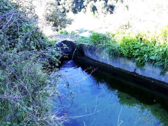 ft-bassa-horts-can-1_01