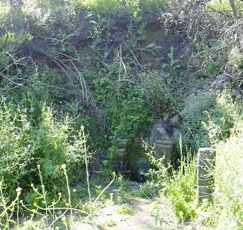 ft-mora-inc-forestal