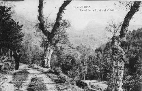 Camí de la Font del Vidrier- A principis del segle passat