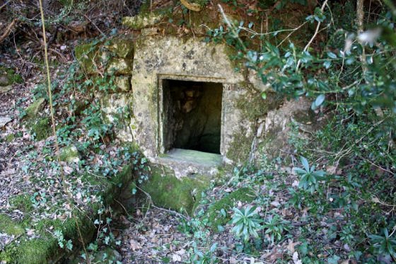 la Font de la Rovira de dalt - Actual- Arxiu Encos