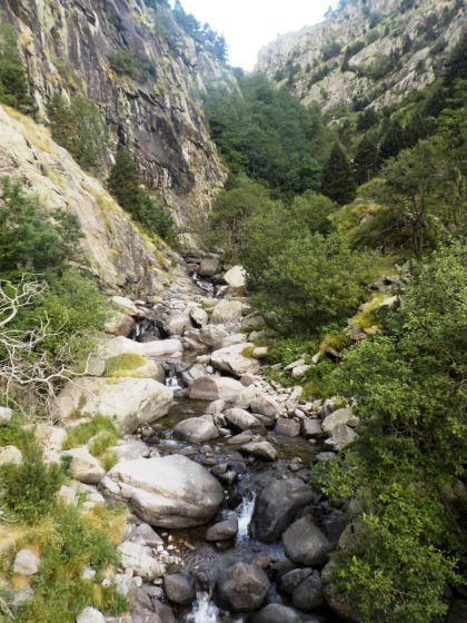 img-20160723-wa0000_01