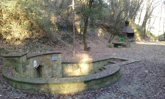 img-20161231-wa0006_01