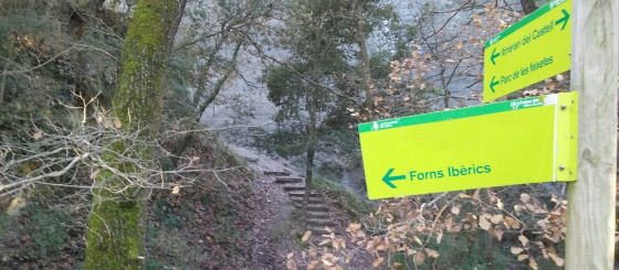 img-20161231-wa0010_01