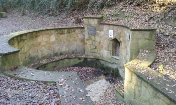 img-20161231-wa0011_01