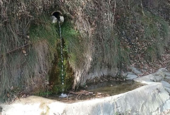 img-20170122-wa0003a_01