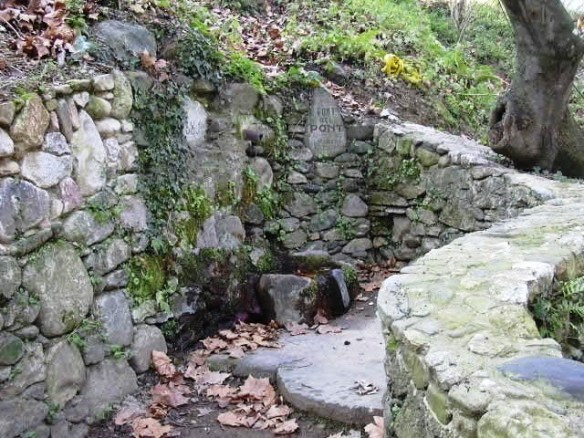 gualba-ft-del-pont-1