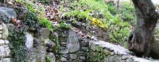 gualba-ft-del-pont-4