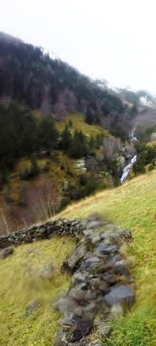 10383009_10204512439203549_1750734476249451364_n