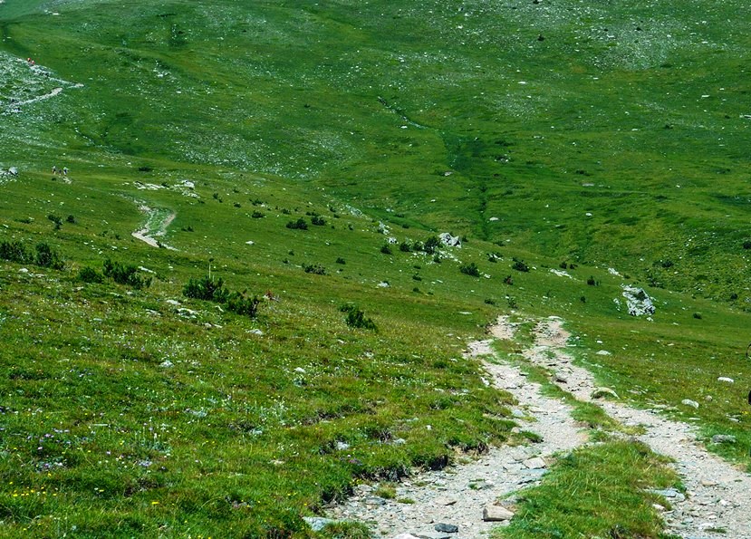 37974660_10216709570641887_7476479563350933504_n