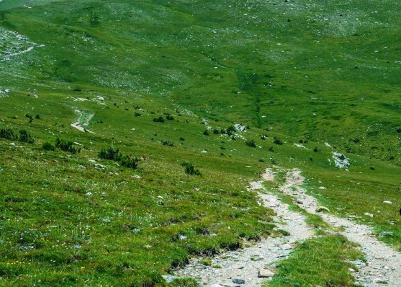 37974660_10216709570641887_7476479563350933504_n