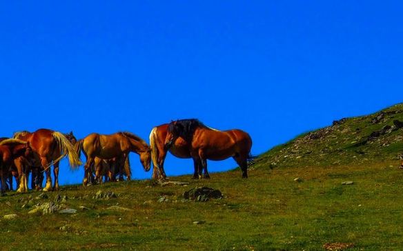 38065447_10216709563561710_3990294329045286912_n