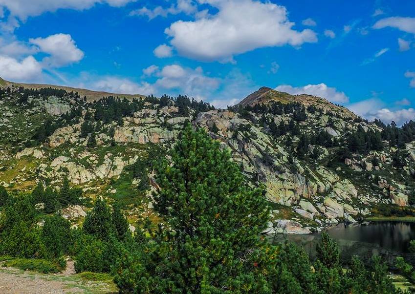 42270082_10217138364121456_4839918218304815104_n